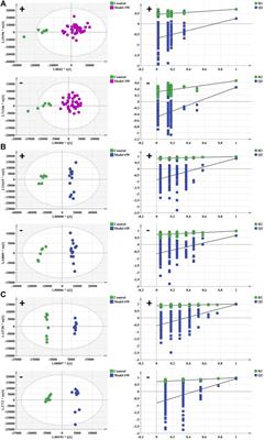 Metabolomics profiling of AKT/c-Met-induced hepatocellular carcinogenesis and the inhibitory effect of Cucurbitacin B in mice